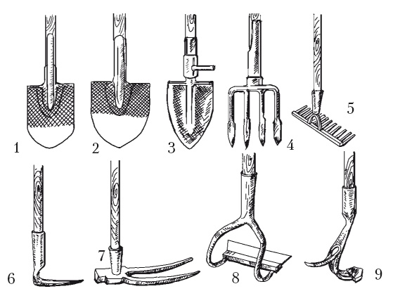 Иллюстрация к книге — Выращивание винограда [Autogen_eBook_id25.jpg]