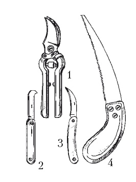 Иллюстрация к книге — Выращивание винограда [Autogen_eBook_id26.jpg]