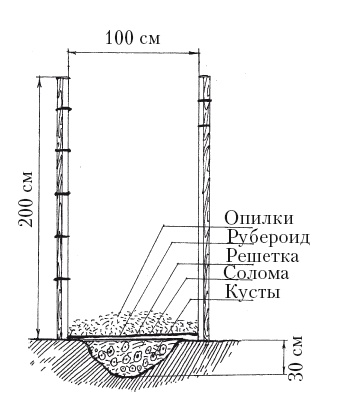 Иллюстрация к книге — Выращивание винограда [Autogen_eBook_id33.jpg]
