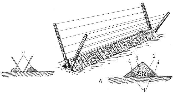 Иллюстрация к книге — Выращивание винограда [Autogen_eBook_id41.jpg]