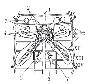 Иллюстрация к книге — Дождевые черви для повышения урожая [Autogen_eBook_id10.jpg]