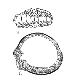 Иллюстрация к книге — Дождевые черви для повышения урожая [Autogen_eBook_id49.jpg]