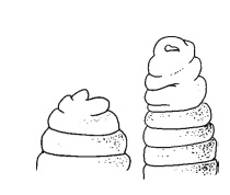 Иллюстрация к книге — Дождевые черви для повышения урожая [Autogen_eBook_id52.jpg]