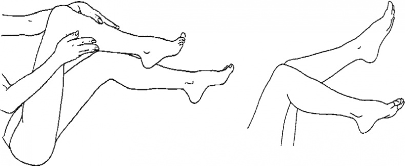 Иллюстрация к книге — Варикозное расширение вен. Лечение традиционными и нетрадиционными методами [_05.jpg]