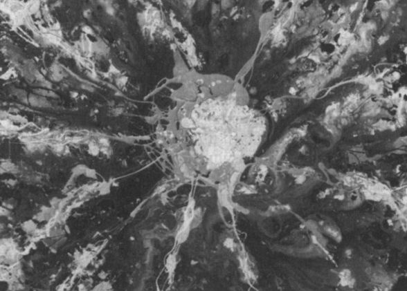 Иллюстрация к книге — Читая между строк ДНК. Второй код нашей жизни, или Книга, которую нужно прочитать всем [i_008.jpg]