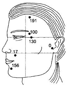 Иллюстрация к книге — Чистка суставов. Современные и традиционные методы [i_005.jpg]