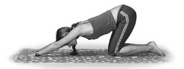 Иллюстрация к книге — Кинезитерапия суставов и позвоночника [i_024.jpg]