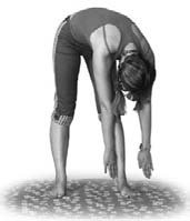 Иллюстрация к книге — Кинезитерапия суставов и позвоночника [i_028.jpg]