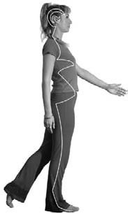 Иллюстрация к книге — Кинезитерапия суставов и позвоночника [i_070.jpg]