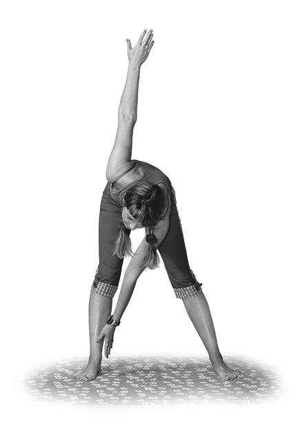 Иллюстрация к книге — Суставная гимнастика [i_007.jpg]