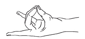 Иллюстрация к книге — Суставная гимнастика [i_024.jpg]