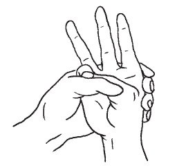 Иллюстрация к книге — Суставная гимнастика [i_030.jpg]