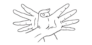 Иллюстрация к книге — Суставная гимнастика [i_039.jpg]