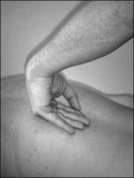 Иллюстрация к книге — Массаж от классики до экзотики. Полная энциклопедия систем, видов, техник, методик [i_023.jpg]