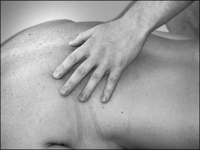 Иллюстрация к книге — Массаж от классики до экзотики. Полная энциклопедия систем, видов, техник, методик [i_025.jpg]