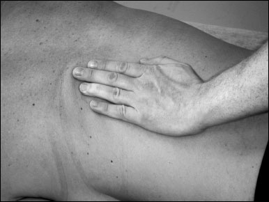 Иллюстрация к книге — Массаж от классики до экзотики. Полная энциклопедия систем, видов, техник, методик [i_030.jpg]