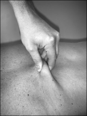 Иллюстрация к книге — Массаж от классики до экзотики. Полная энциклопедия систем, видов, техник, методик [i_041.jpg]