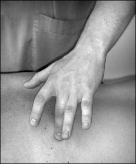 Иллюстрация к книге — Массаж от классики до экзотики. Полная энциклопедия систем, видов, техник, методик [i_049.jpg]