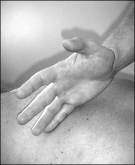 Иллюстрация к книге — Массаж от классики до экзотики. Полная энциклопедия систем, видов, техник, методик [i_050.jpg]