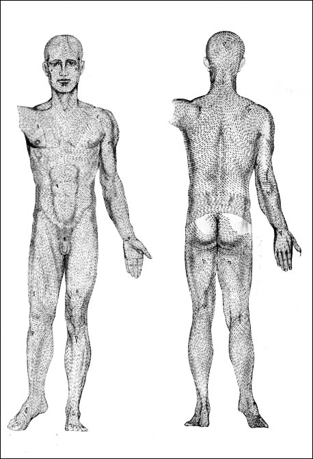 Иллюстрация к книге — Массаж от классики до экзотики. Полная энциклопедия систем, видов, техник, методик [i_055.jpg]