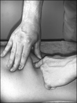 Иллюстрация к книге — Массаж от классики до экзотики. Полная энциклопедия систем, видов, техник, методик [i_064.jpg]