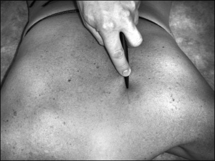 Иллюстрация к книге — Массаж от классики до экзотики. Полная энциклопедия систем, видов, техник, методик [i_066.jpg]