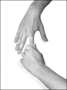 Иллюстрация к книге — Массаж от классики до экзотики. Полная энциклопедия систем, видов, техник, методик [i_078.jpg]