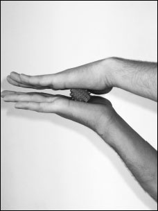 Иллюстрация к книге — Массаж от классики до экзотики. Полная энциклопедия систем, видов, техник, методик [i_079.jpg]