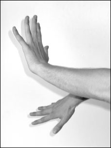 Иллюстрация к книге — Массаж от классики до экзотики. Полная энциклопедия систем, видов, техник, методик [i_080.jpg]