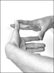 Иллюстрация к книге — Массаж от классики до экзотики. Полная энциклопедия систем, видов, техник, методик [i_089.jpg]