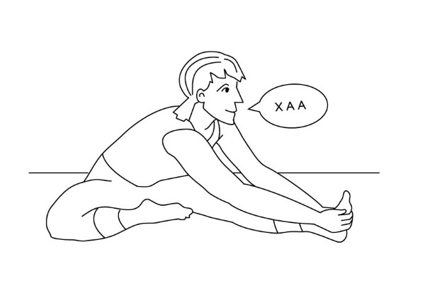 Иллюстрация к книге — 1000 ответов на вопросы, как вернуть здоровье [i_004.jpg]