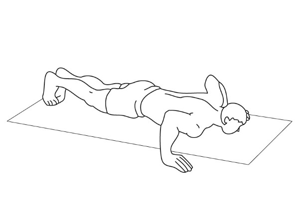 Иллюстрация к книге — 1000 ответов на вопросы, как вернуть здоровье [i_005.jpg]