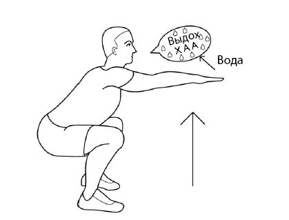 Иллюстрация к книге — 1000 ответов на вопросы, как вернуть здоровье [i_013.jpg]