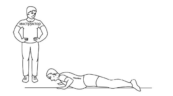 Иллюстрация к книге — 1000 ответов на вопросы, как вернуть здоровье [i_015.jpg]