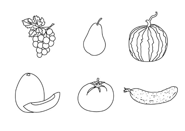 Иллюстрация к книге — 1000 ответов на вопросы, как вернуть здоровье [i_016.jpg]