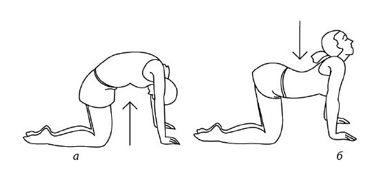 Иллюстрация к книге — 1000 ответов на вопросы, как вернуть здоровье [i_021.jpg]