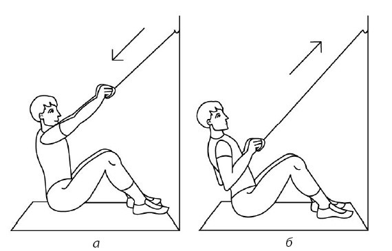 Иллюстрация к книге — 1000 ответов на вопросы, как вернуть здоровье [i_027.jpg]
