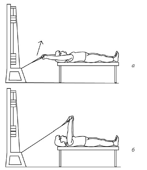 Иллюстрация к книге — 1000 ответов на вопросы, как вернуть здоровье [i_033.jpg]