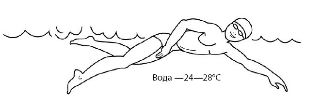 Иллюстрация к книге — 1000 ответов на вопросы, как вернуть здоровье [i_036.jpg]