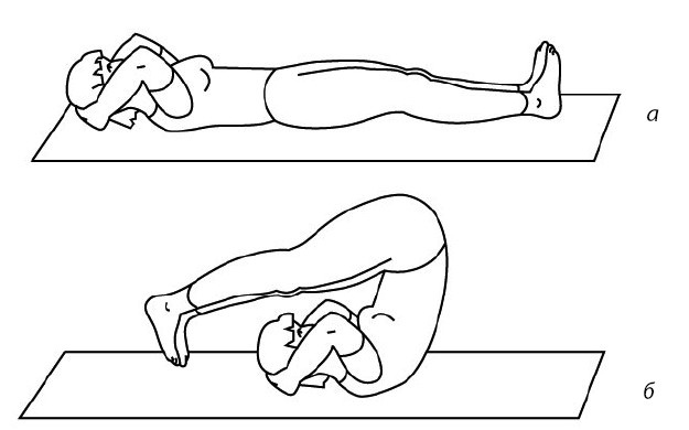 Иллюстрация к книге — 1000 ответов на вопросы, как вернуть здоровье [i_038.jpg]