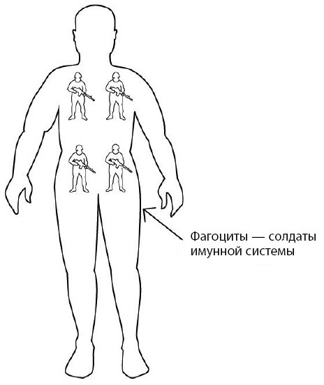 Иллюстрация к книге — 1000 ответов на вопросы, как вернуть здоровье [i_051.jpg]