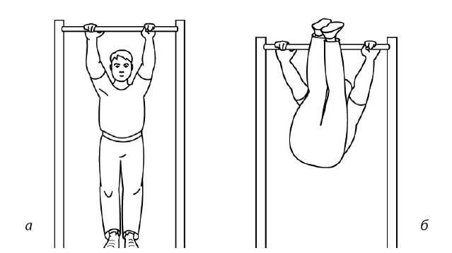 Иллюстрация к книге — 1000 ответов на вопросы, как вернуть здоровье [i_054.jpg]