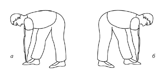 Иллюстрация к книге — 1000 ответов на вопросы, как вернуть здоровье [i_059.jpg]