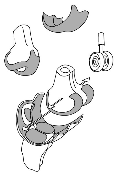 Иллюстрация к книге — 1000 ответов на вопросы, как вернуть здоровье [i_060.jpg]