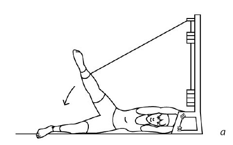 Иллюстрация к книге — 1000 ответов на вопросы, как вернуть здоровье [i_066.jpg]
