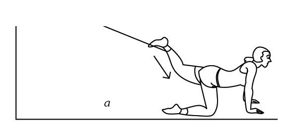 Иллюстрация к книге — 1000 ответов на вопросы, как вернуть здоровье [i_068.jpg]