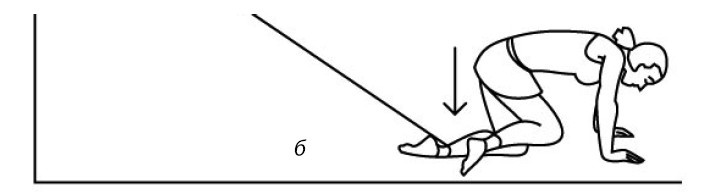 Иллюстрация к книге — 1000 ответов на вопросы, как вернуть здоровье [i_069.jpg]