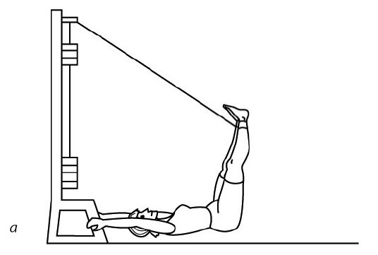 Иллюстрация к книге — 1000 ответов на вопросы, как вернуть здоровье [i_070.jpg]