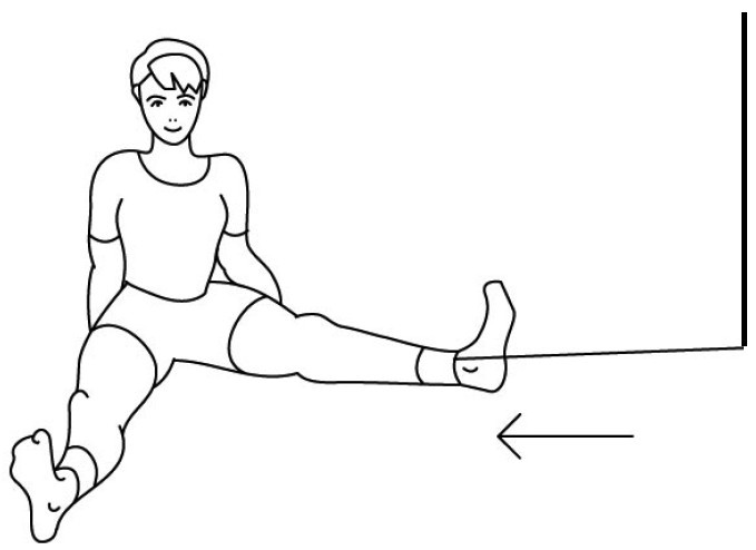 Иллюстрация к книге — 1000 ответов на вопросы, как вернуть здоровье [i_075.jpg]