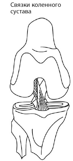 Иллюстрация к книге — 1000 ответов на вопросы, как вернуть здоровье [i_083.jpg]